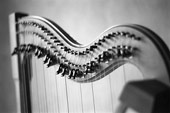 Die Harfe von Stefan Weyh